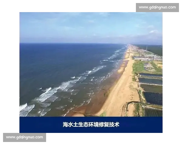 体育锻炼与健康生活方式对环境可持续发展的促进作用研究 体育锻炼与健康生活方式对环境可持续发展的促进作用研究